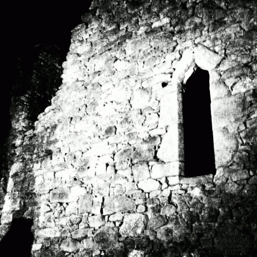 Plague Crawler : Marble